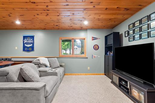 Lower Level Family Room