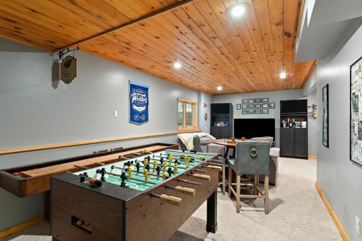 Lower Level Family Room