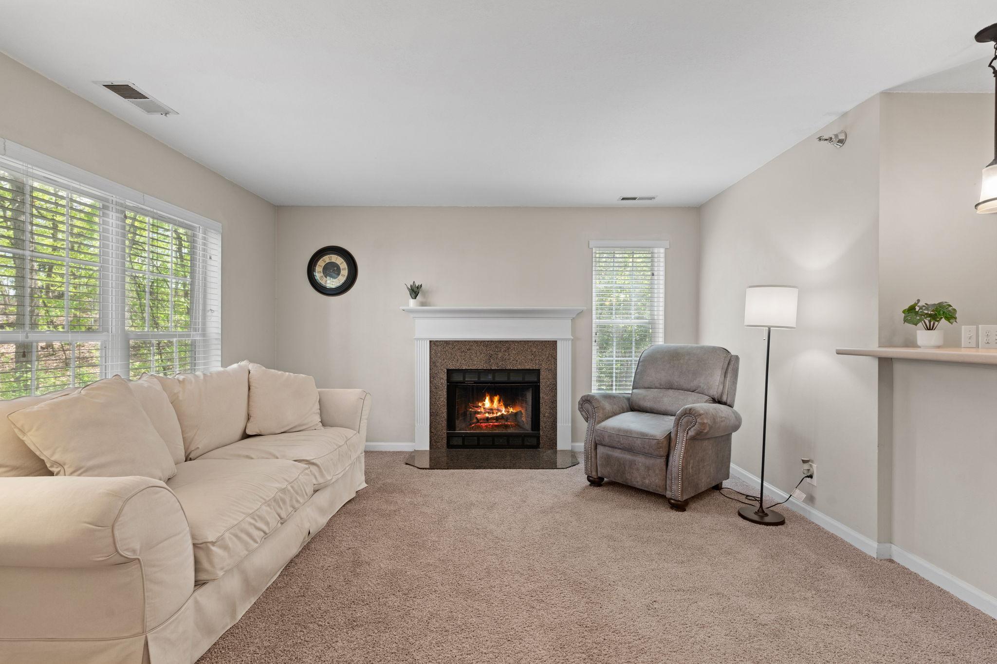 Wood-burning fireplace