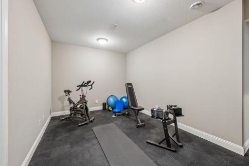 280 Bellwether Path, Wayzata, MN 55391
