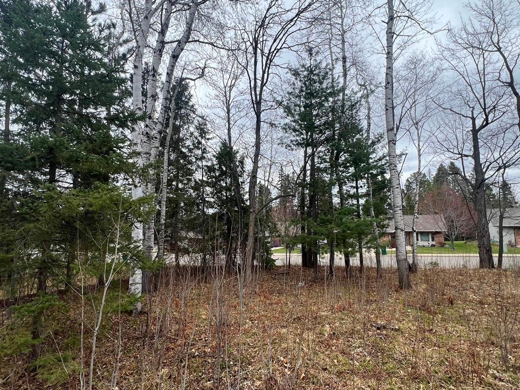 TBD 3rd Ave SW Grand Rapids MN 55744
