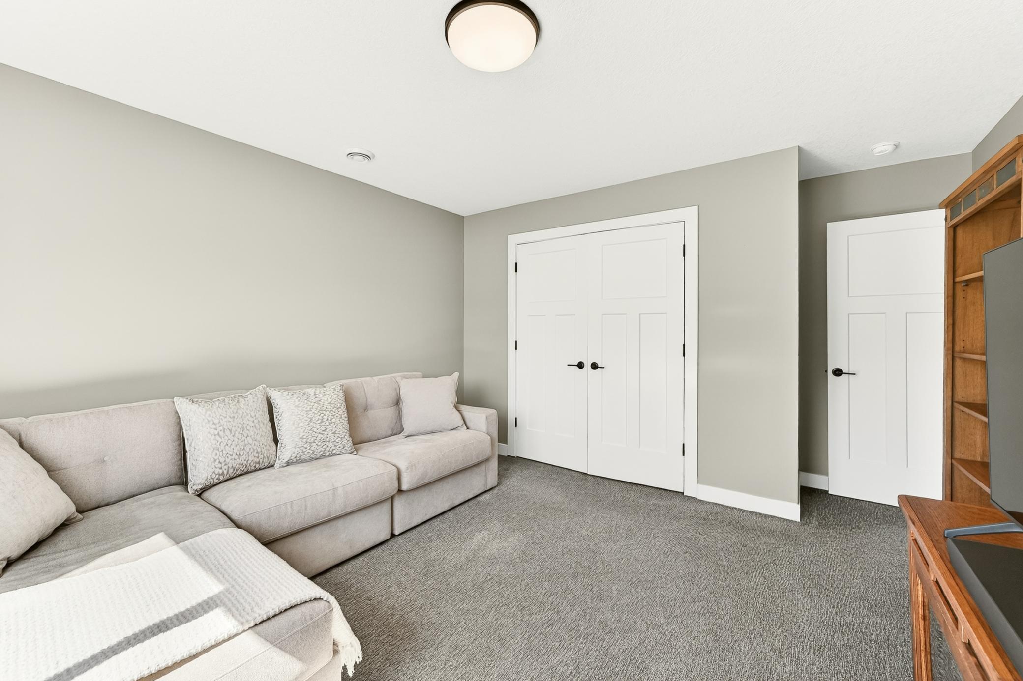 Lower level bedroom/Bonus room