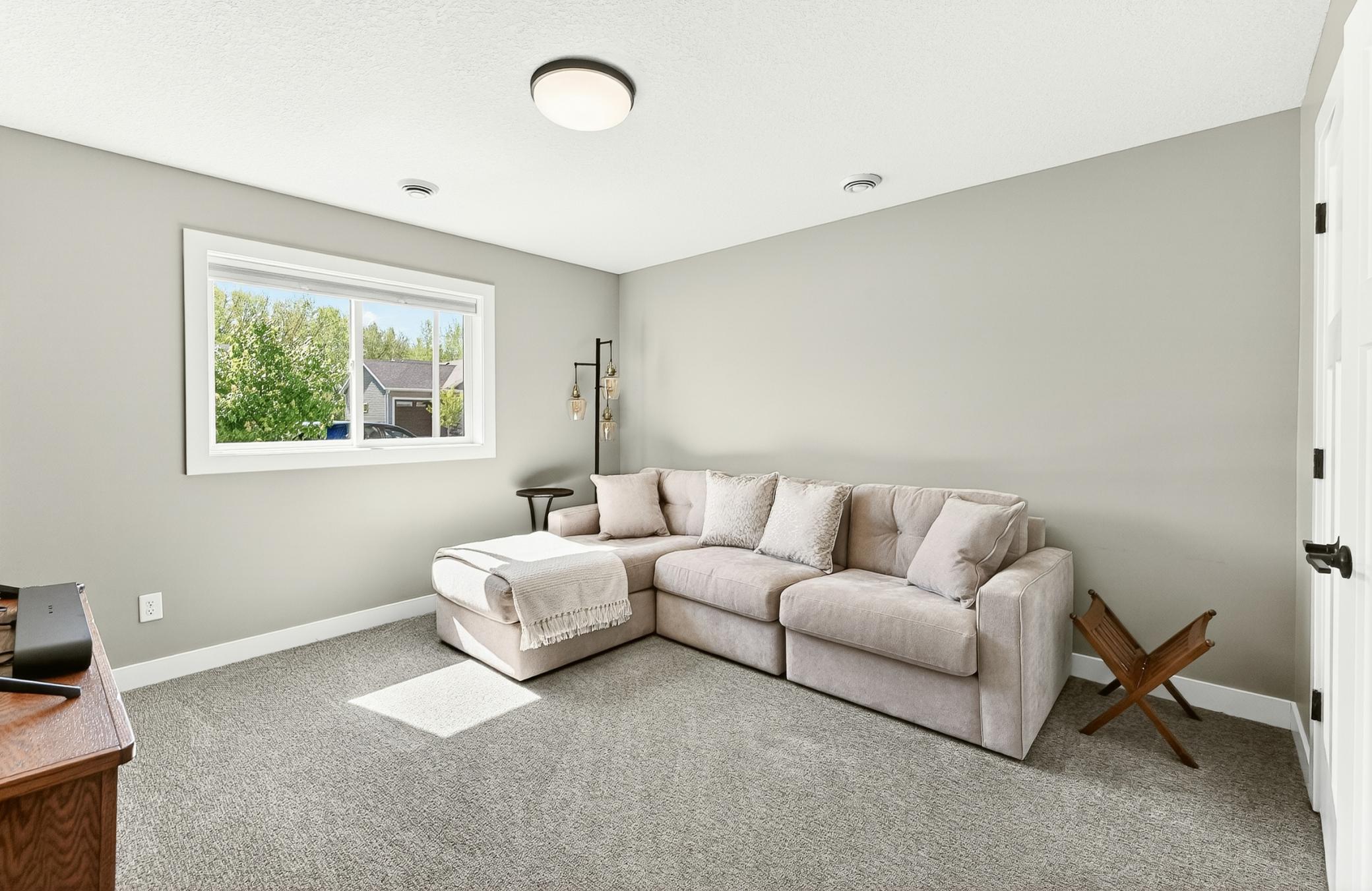 Lower level bedroom/Bonus room