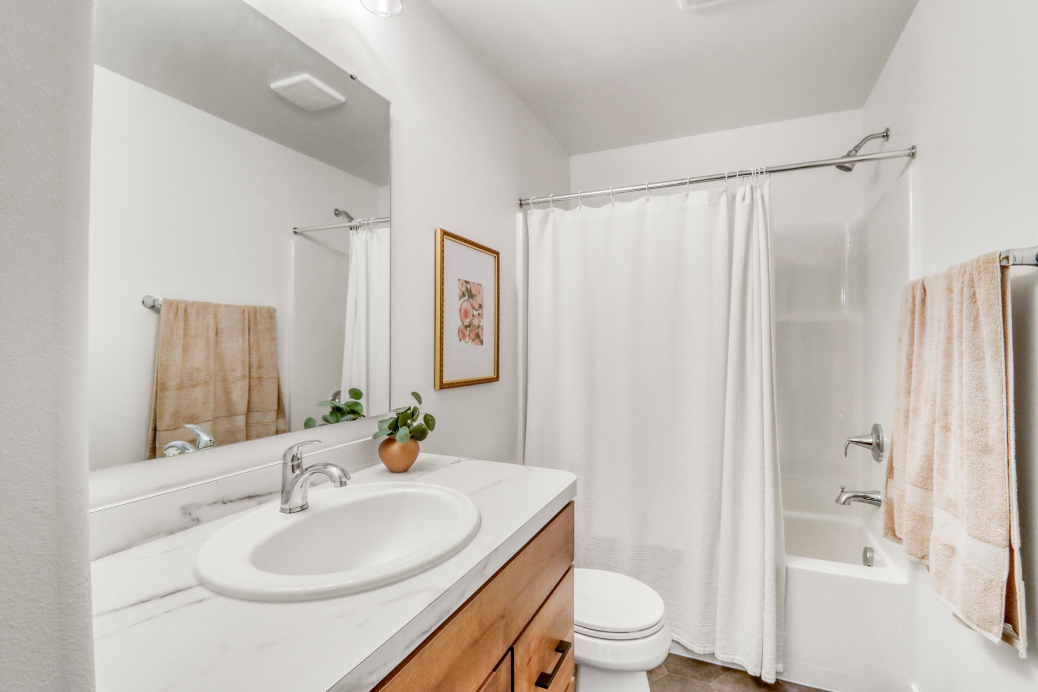 Basement Bathroom1_2 (1).JPG