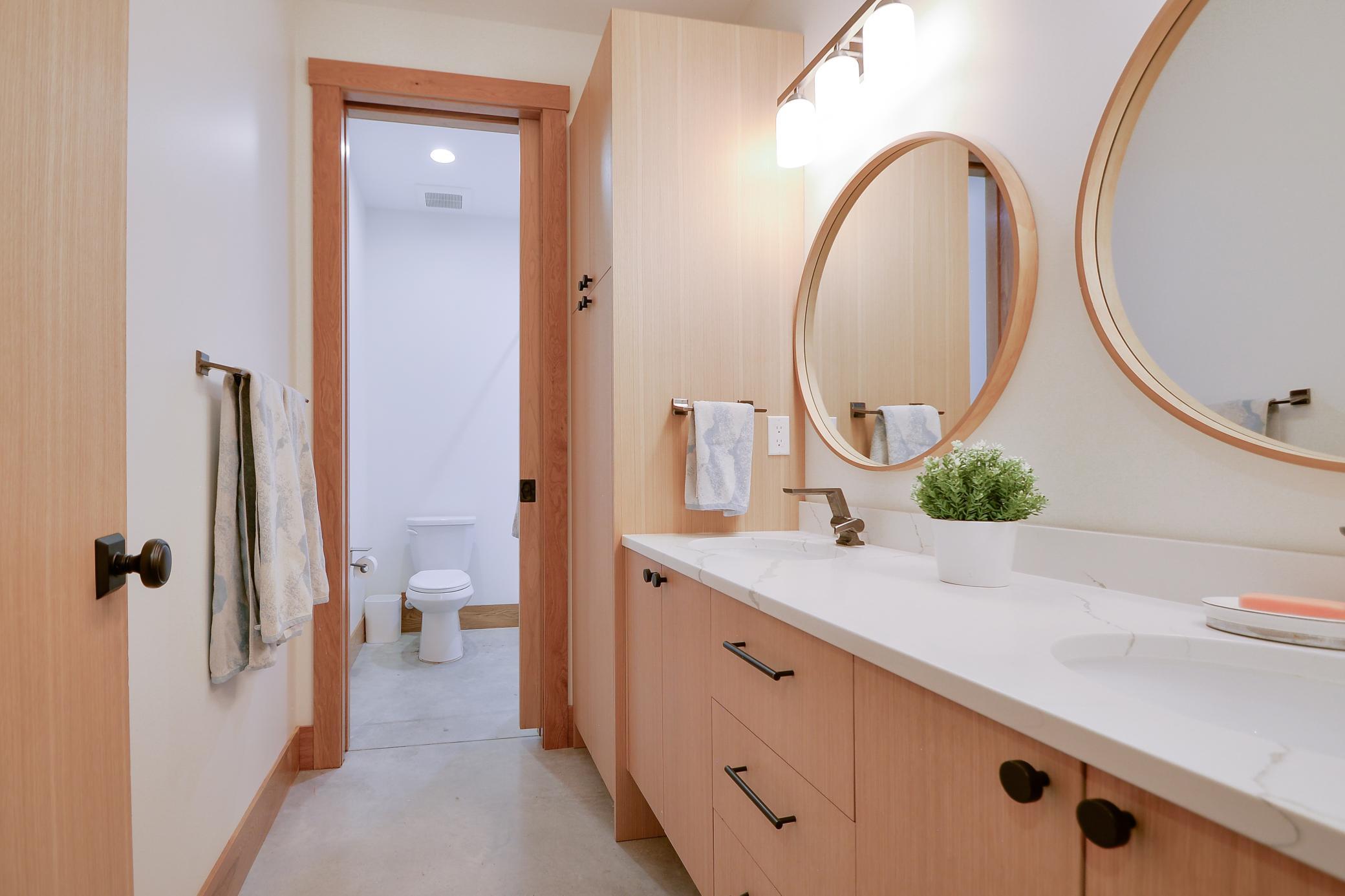 Lower level bathroom
