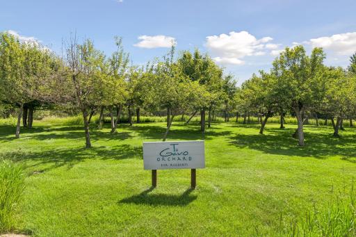 19290 Meadowridge Trail N, Marine On Saint Croix, MN 55047
