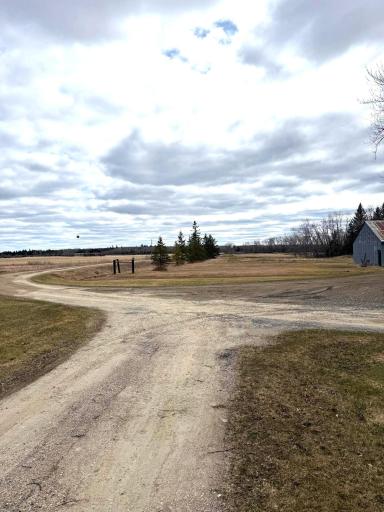driveway.jpeg