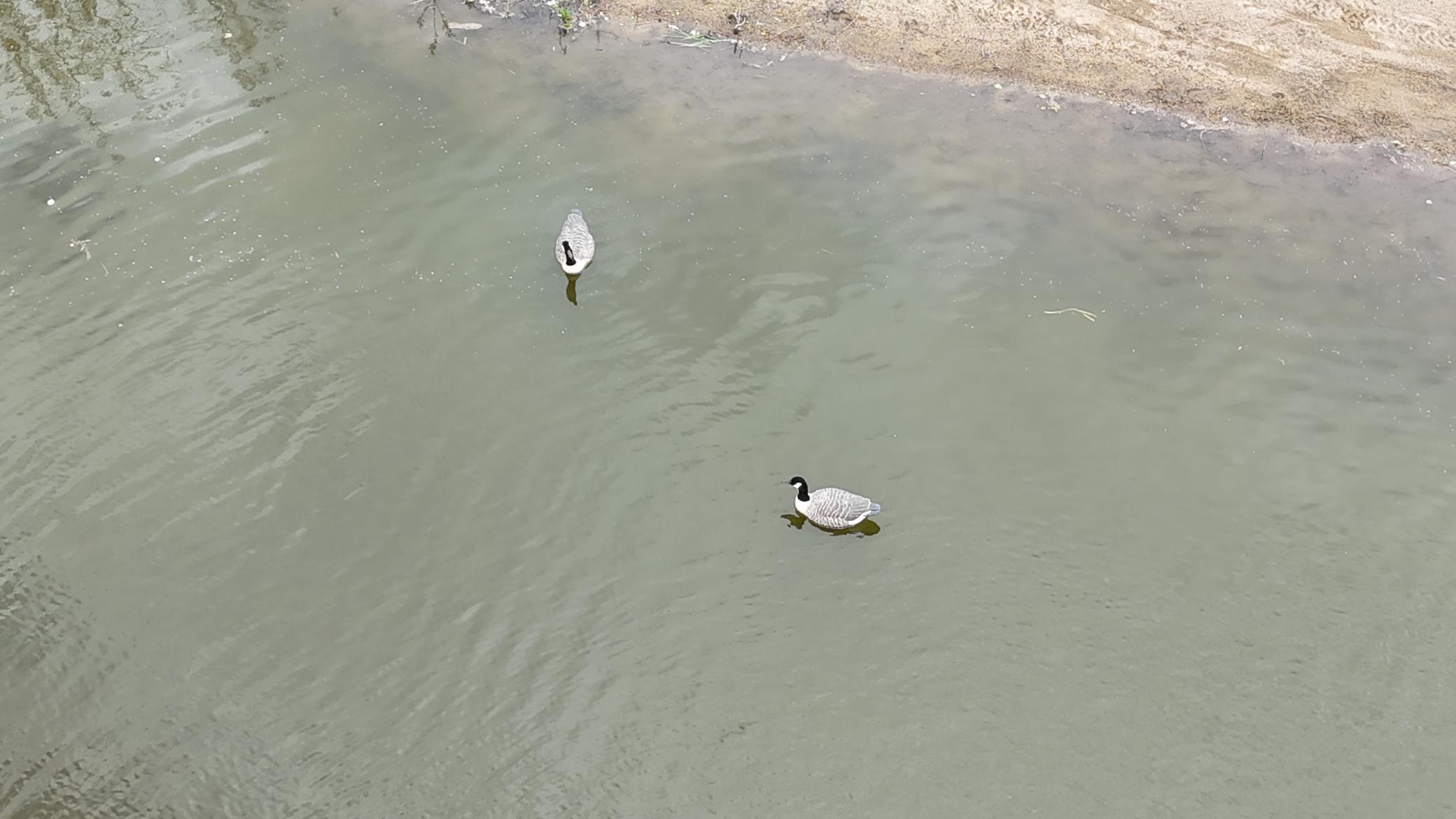 DJI_20260506031406_0060_D.JPG