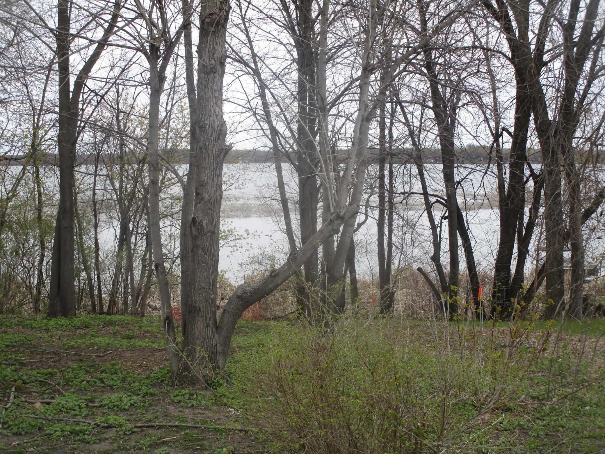 Lake Irene Frontage