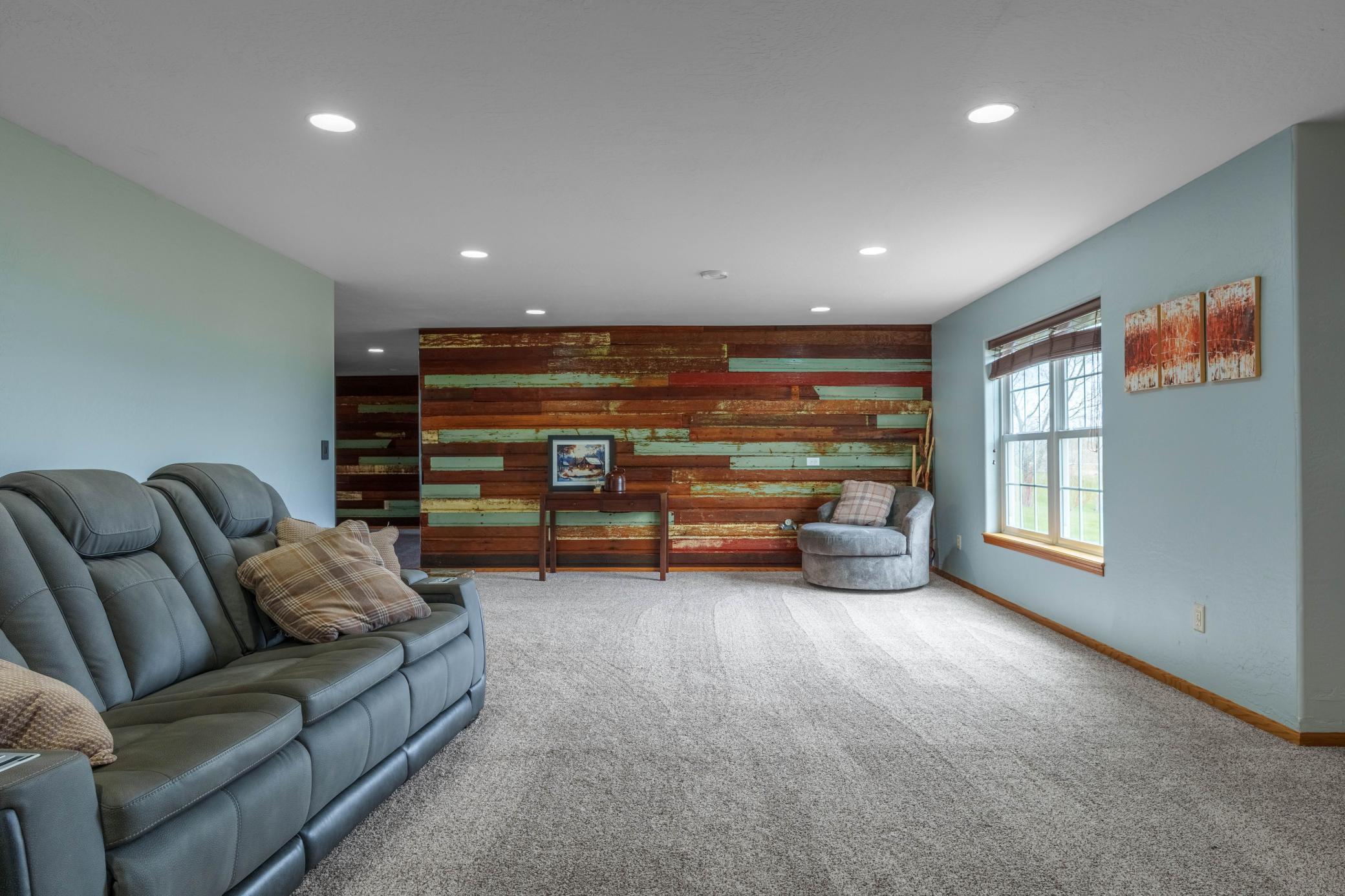 Basement Living Room