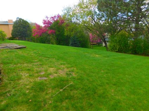 931 Dawn Avenue, Saint Paul, MN 55126