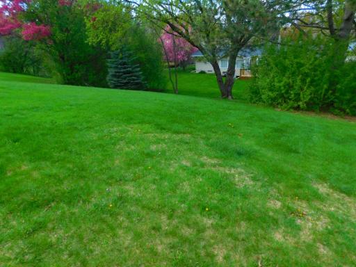 931 Dawn Avenue, Saint Paul, MN 55126