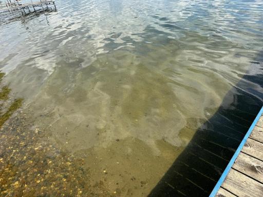 33620 Wildwood Drive, Dent, MN 56528