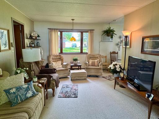 33620 Wildwood Drive, Dent, MN 56528