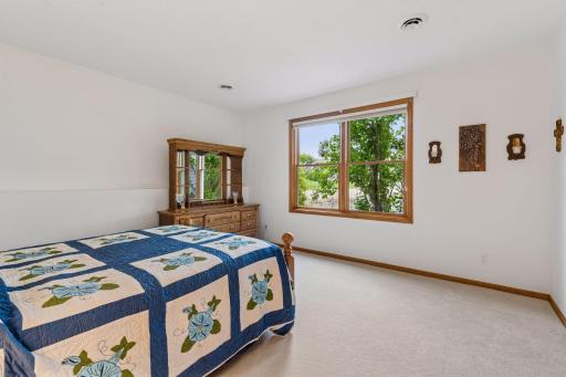 One of two lower-level bedrooms with ample closet space 14x14 with nature views out back.