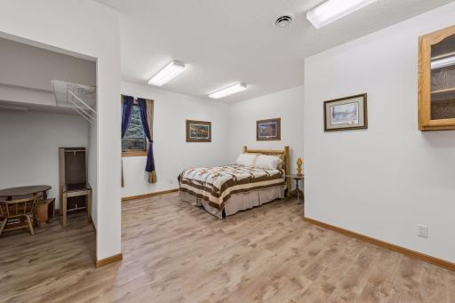 Second spacious lower-level bedroom 17.5x12 with large walk-in closet.