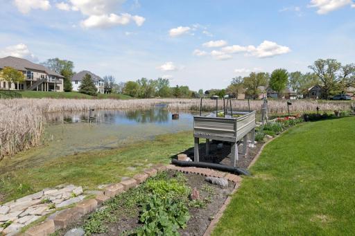 Raised garden bed for vegetables. Bubbler in middle of pond by remote control.