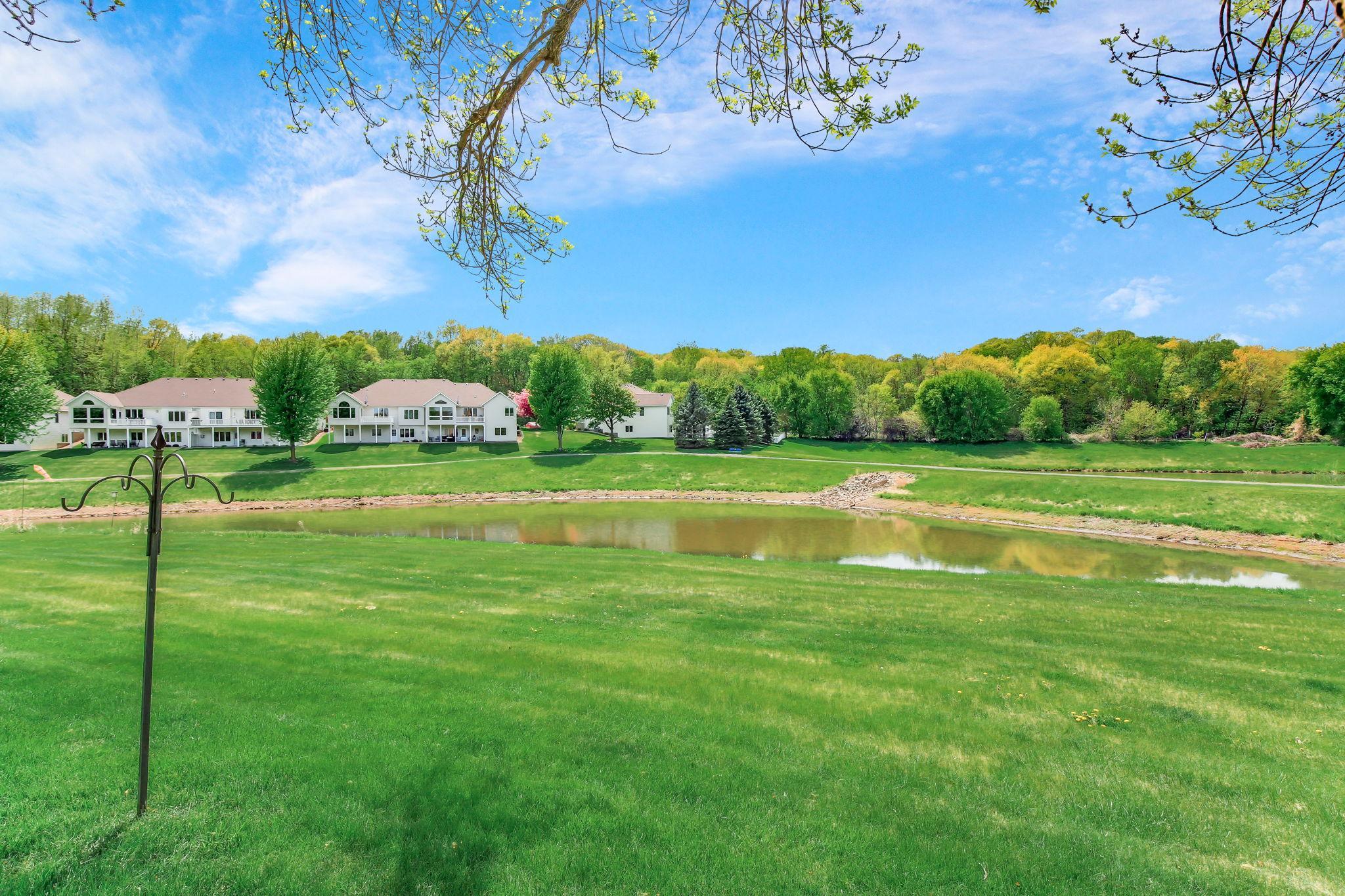 Another view of the pond and walking paths behind it.