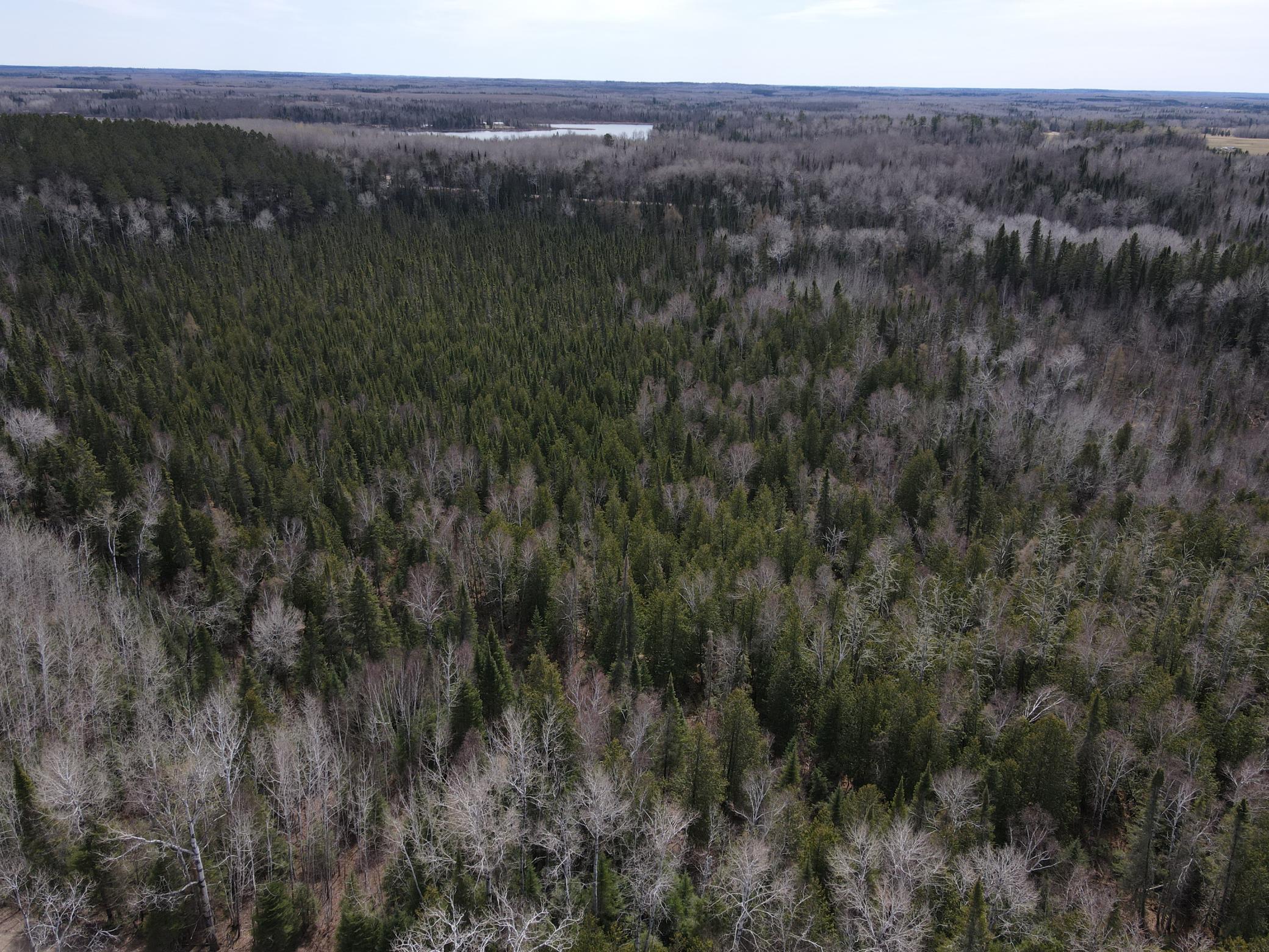 Property photo for TBD CO Rd 40, Effie, MN 56639