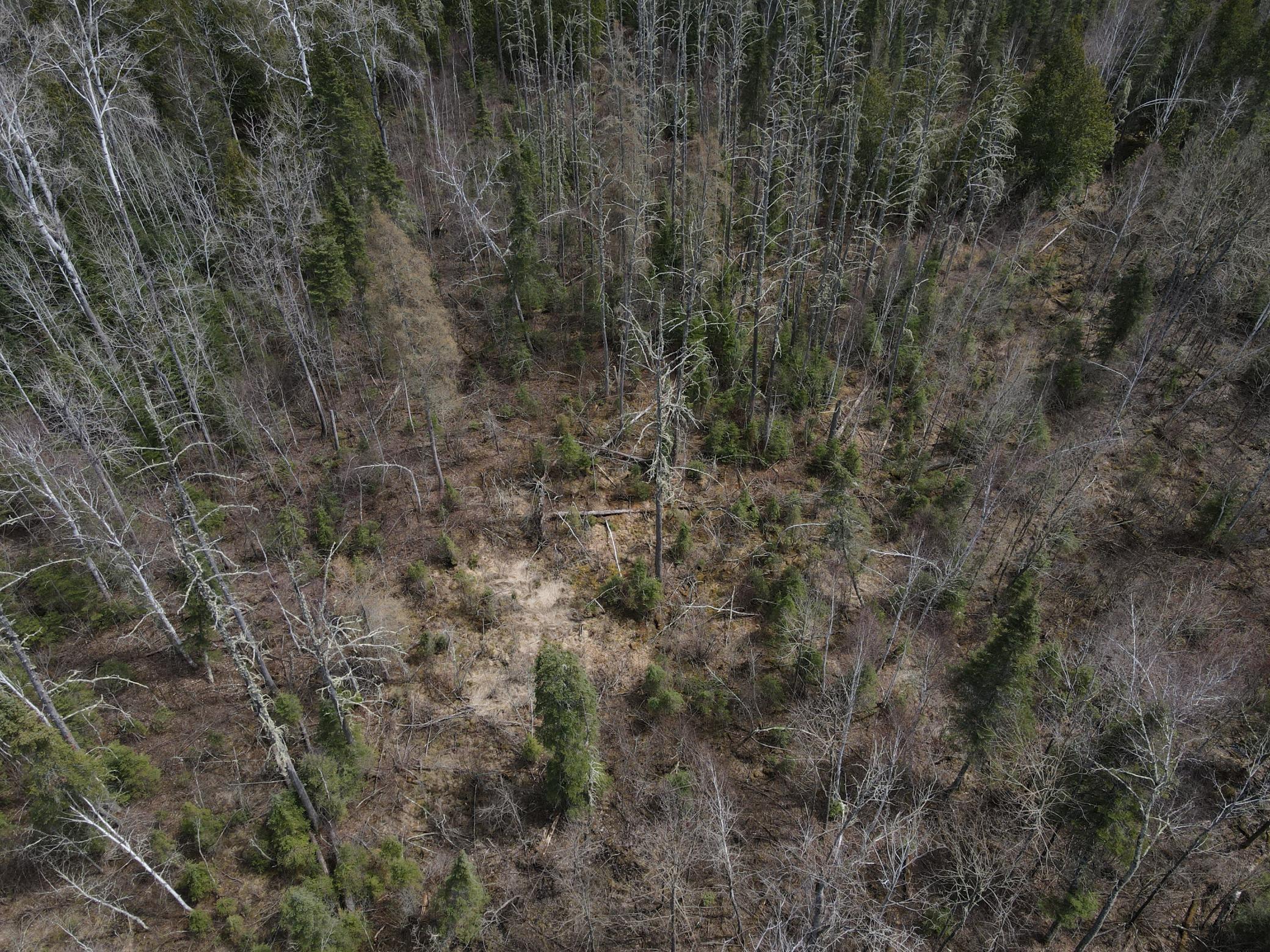 Photo 20
