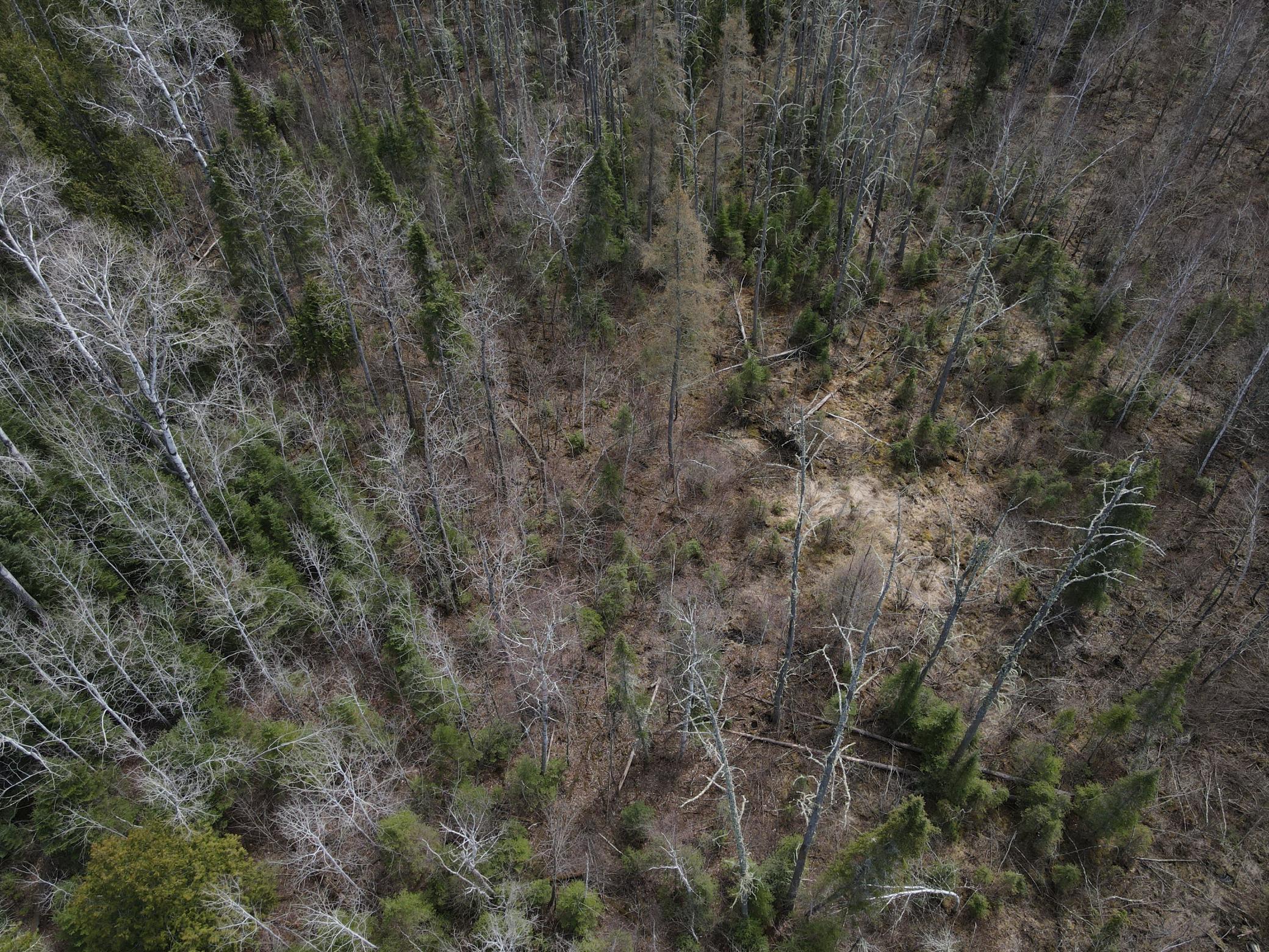 Photo 25