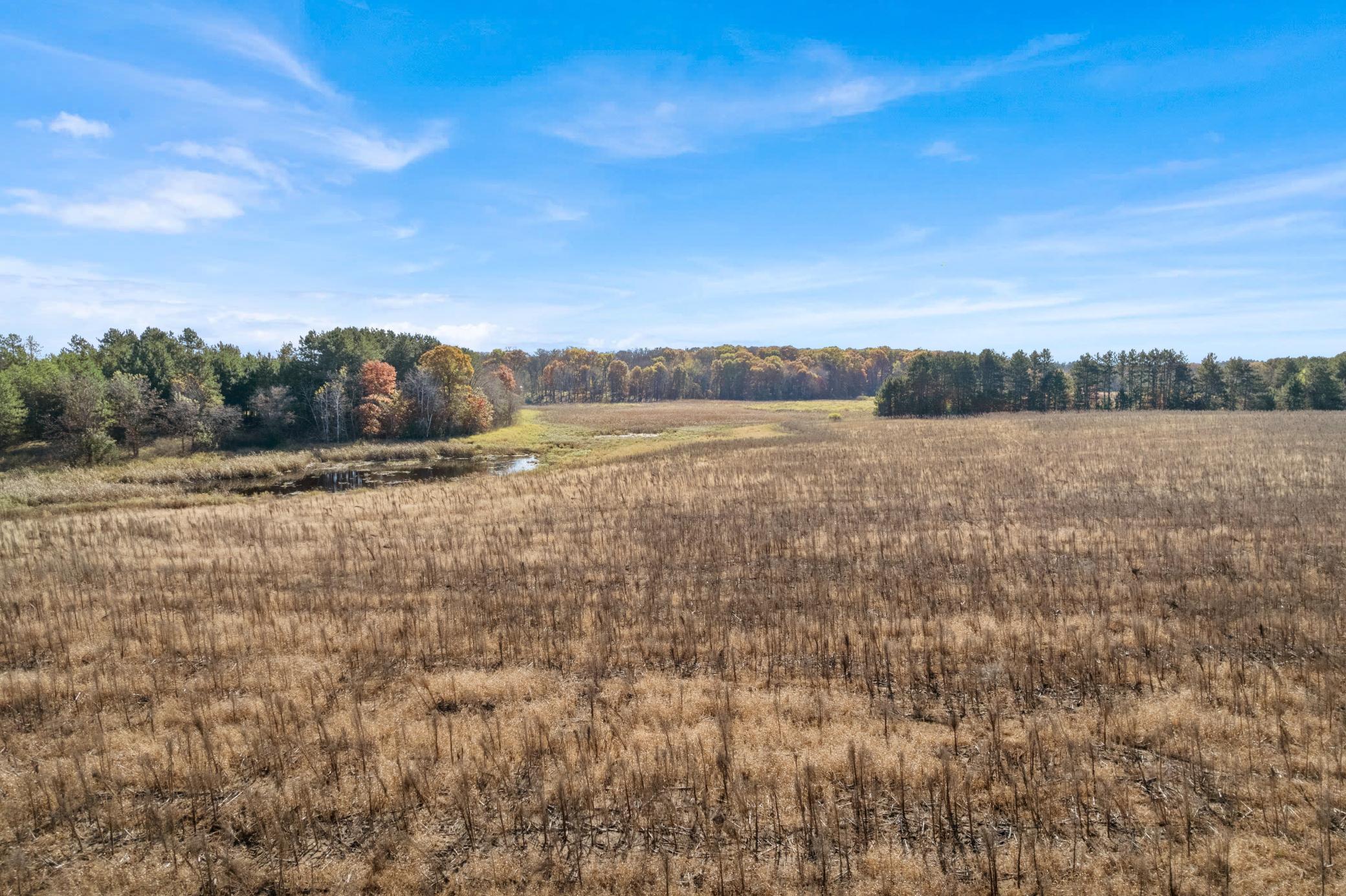 DJI_0021.jpg