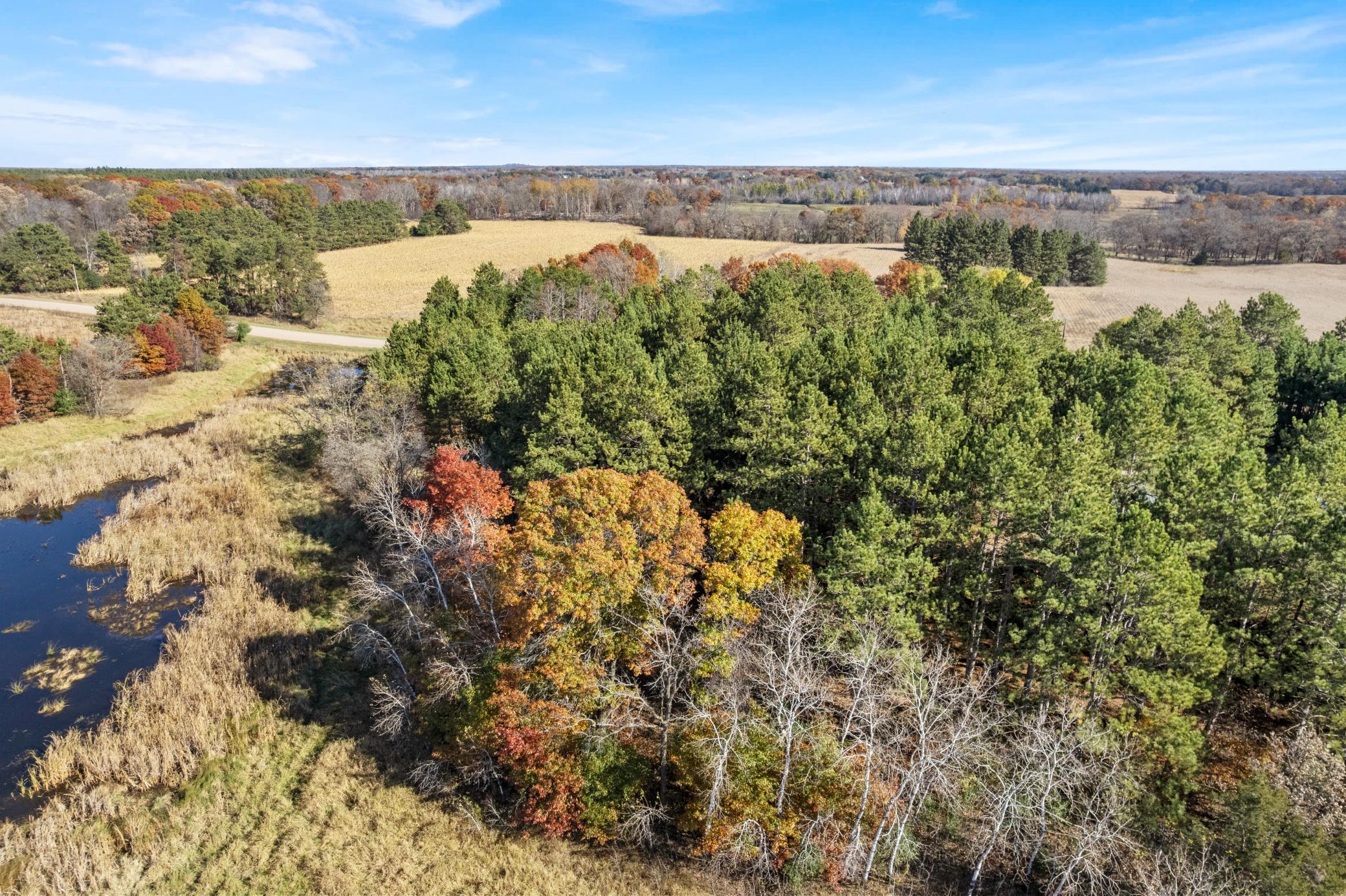 DJI_0036.jpg