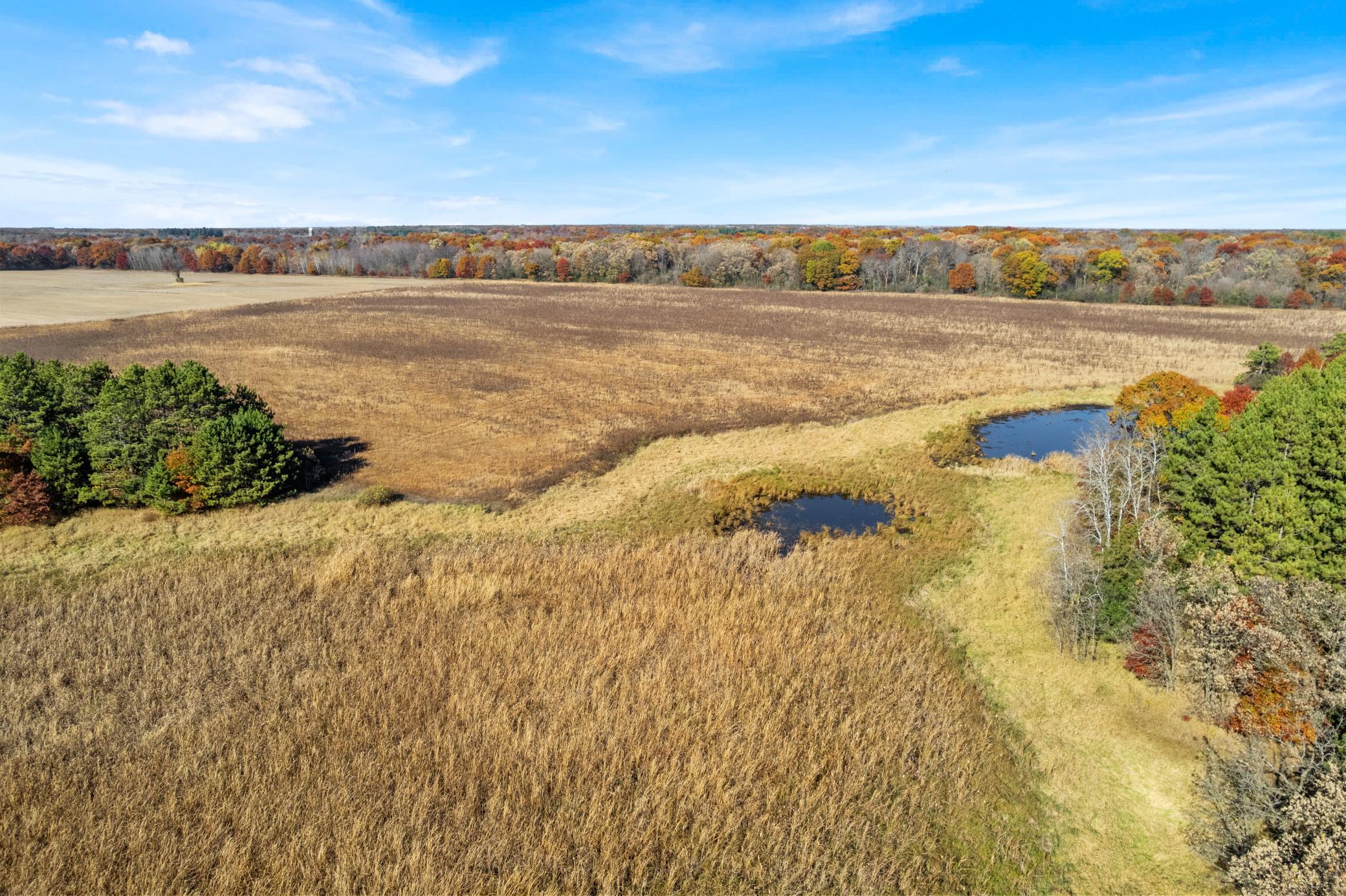 DJI_0039.jpg