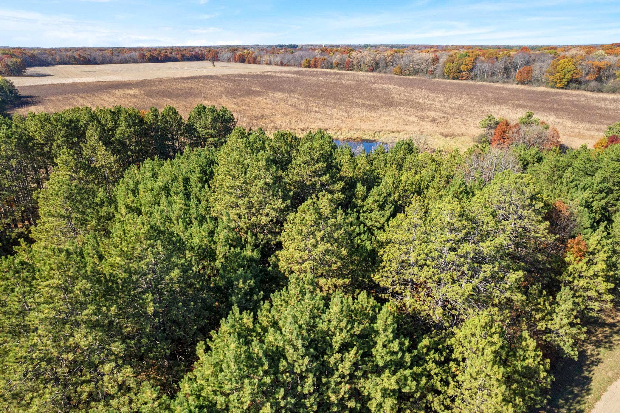 DJI_0033.jpg