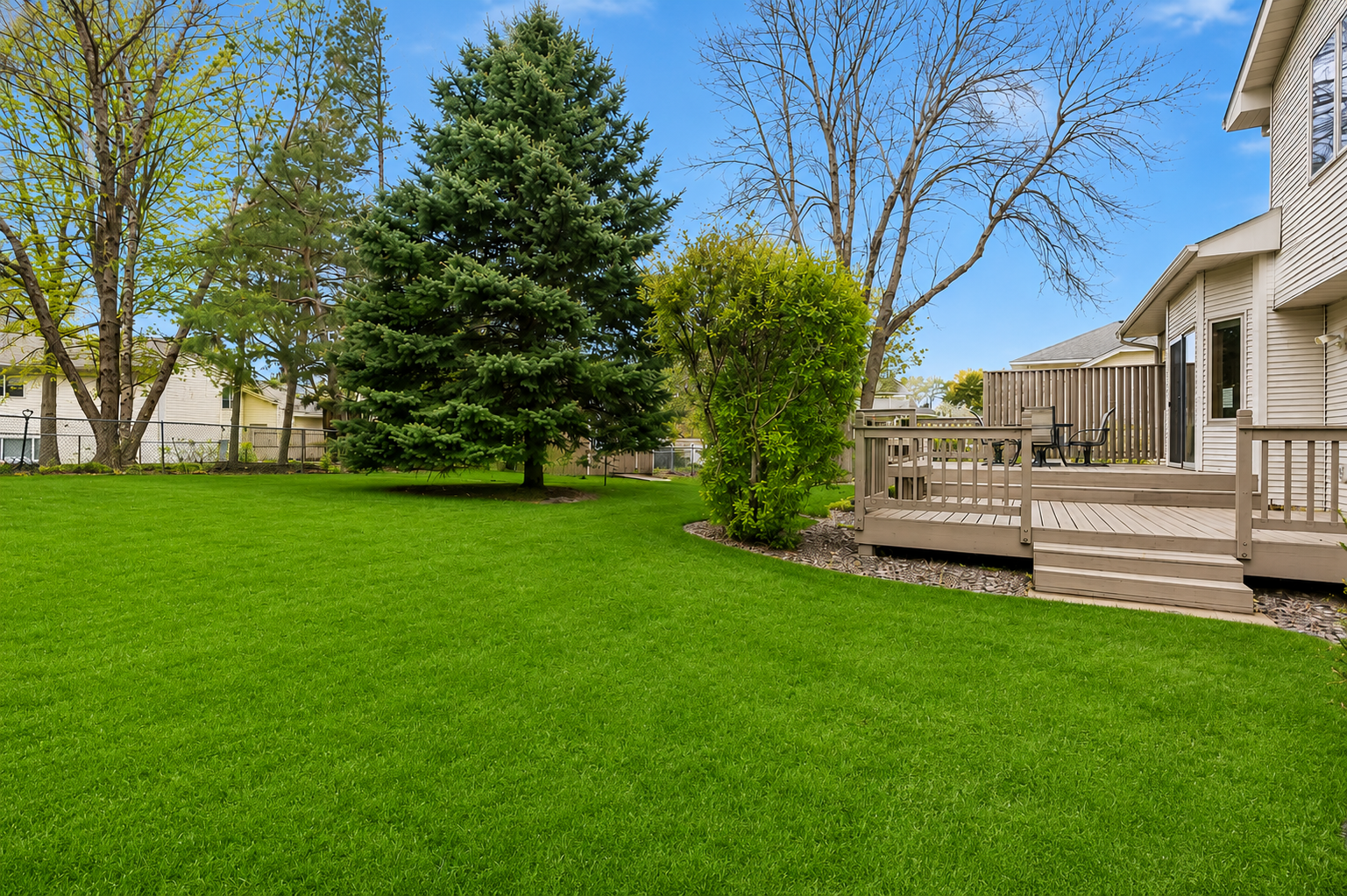 Backyard.