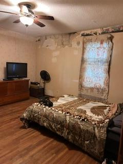 Spacious main floor Bedroom