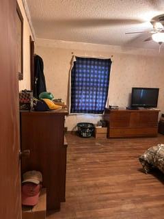 Main floor Bedroom