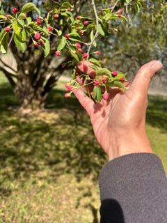 IMG_1412.jpeg