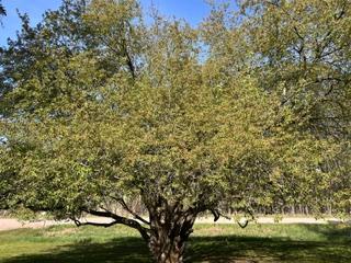 IMG_1411.jpeg