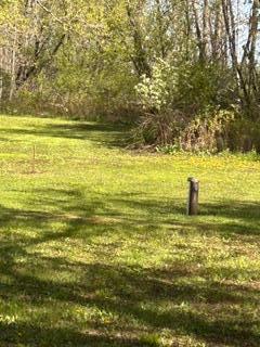 IMG_1406 (1).jpeg