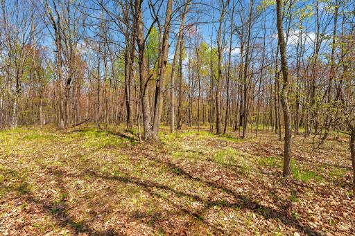 32710 Kettle River Road, Hinckley, MN 55037