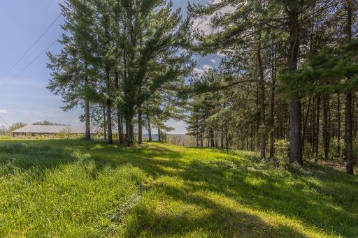 S3565 Rooster Ridge Lane, Fountain City, WI 54629