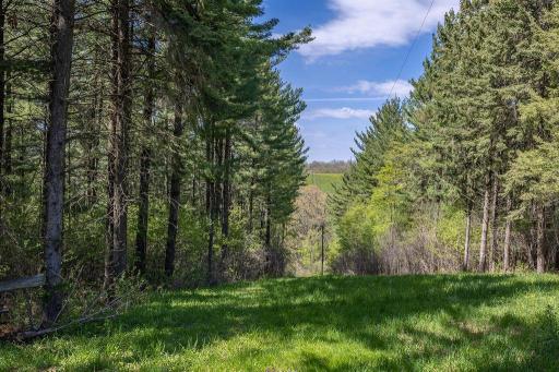S3565 Rooster Ridge Lane, Fountain City, WI 54629