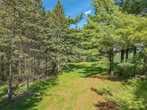S3565 Rooster Ridge Lane, Fountain City, WI 54629