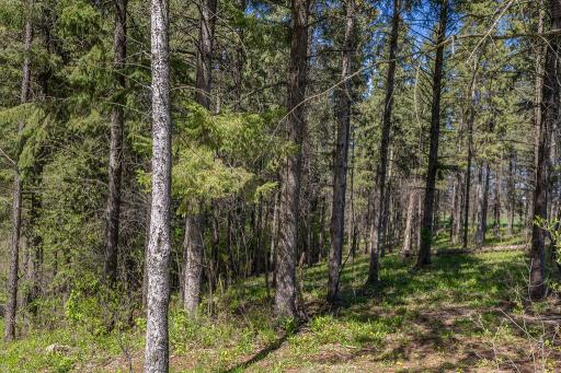 S3565 Rooster Ridge Lane, Fountain City, WI 54629