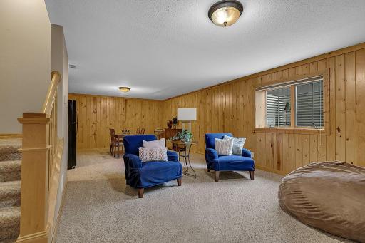 Comfortable lower level living room, great for entertainment.