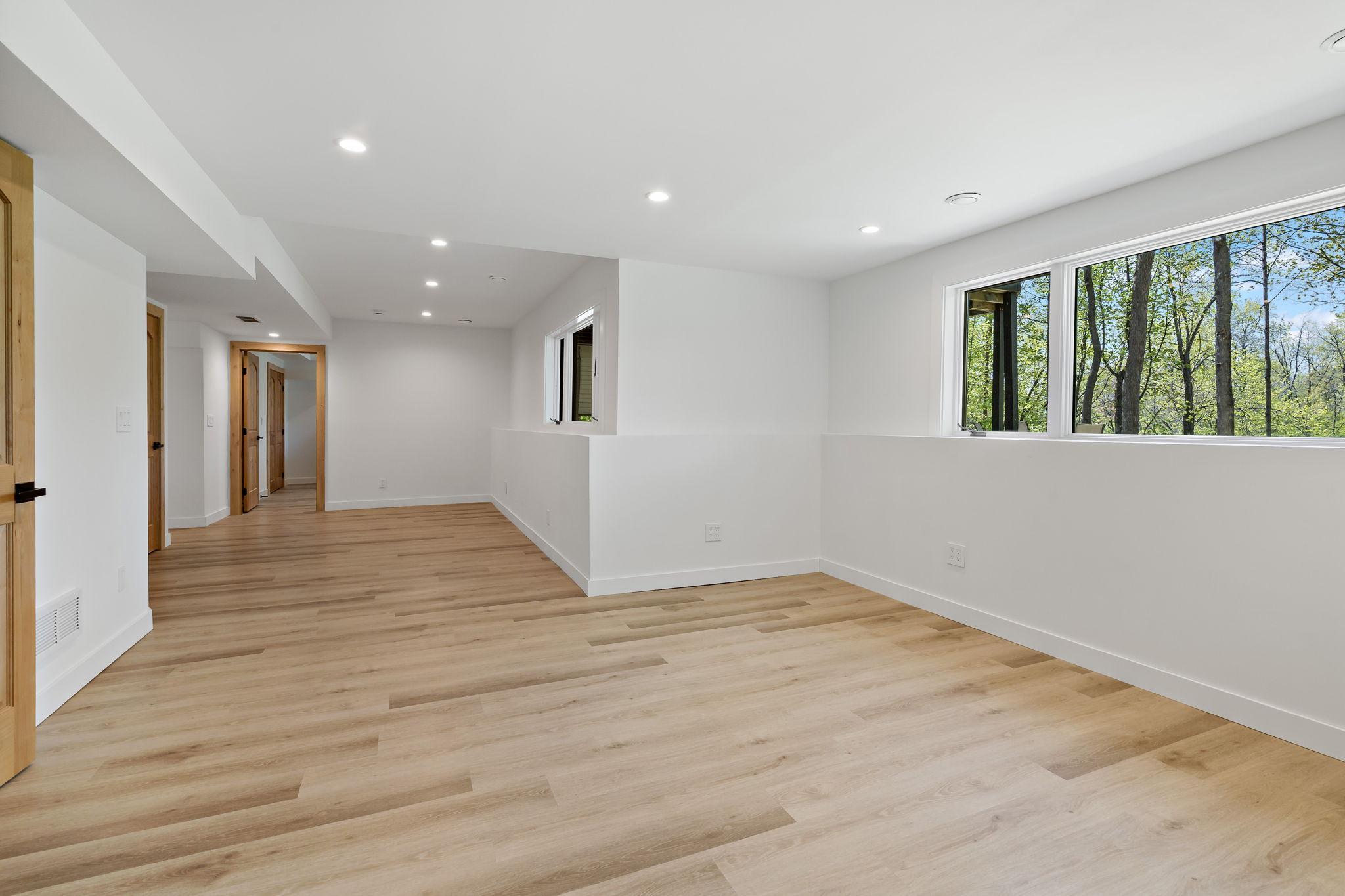 Lower Level Family Room