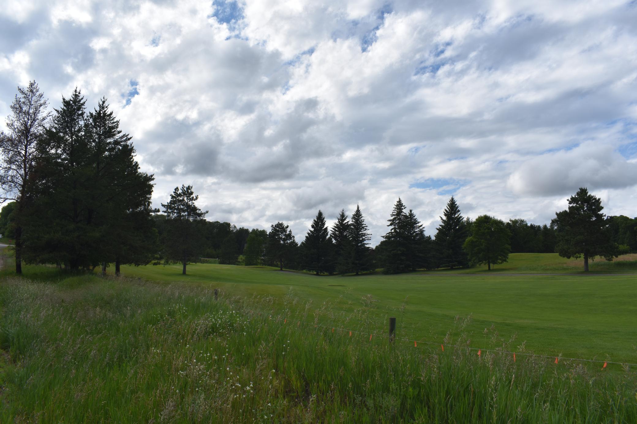 DSC_0257 - Copy.JPG