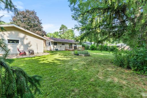 A view of the back yard