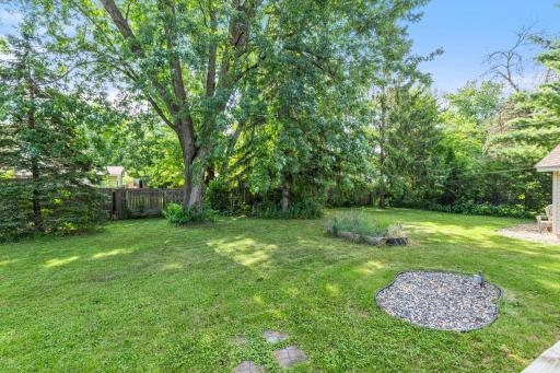 A view of the back yard