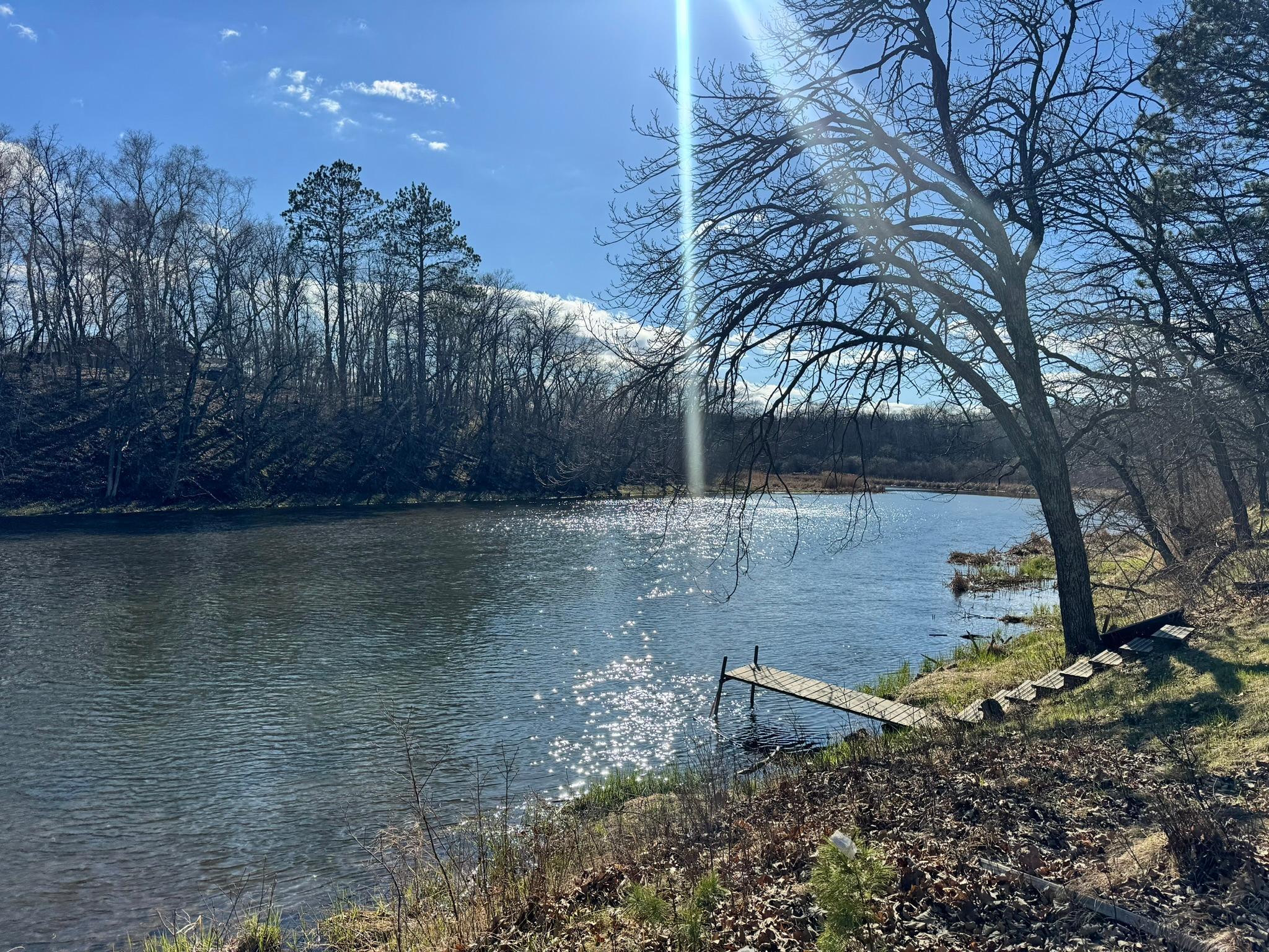 IMG_0217.JPEG
