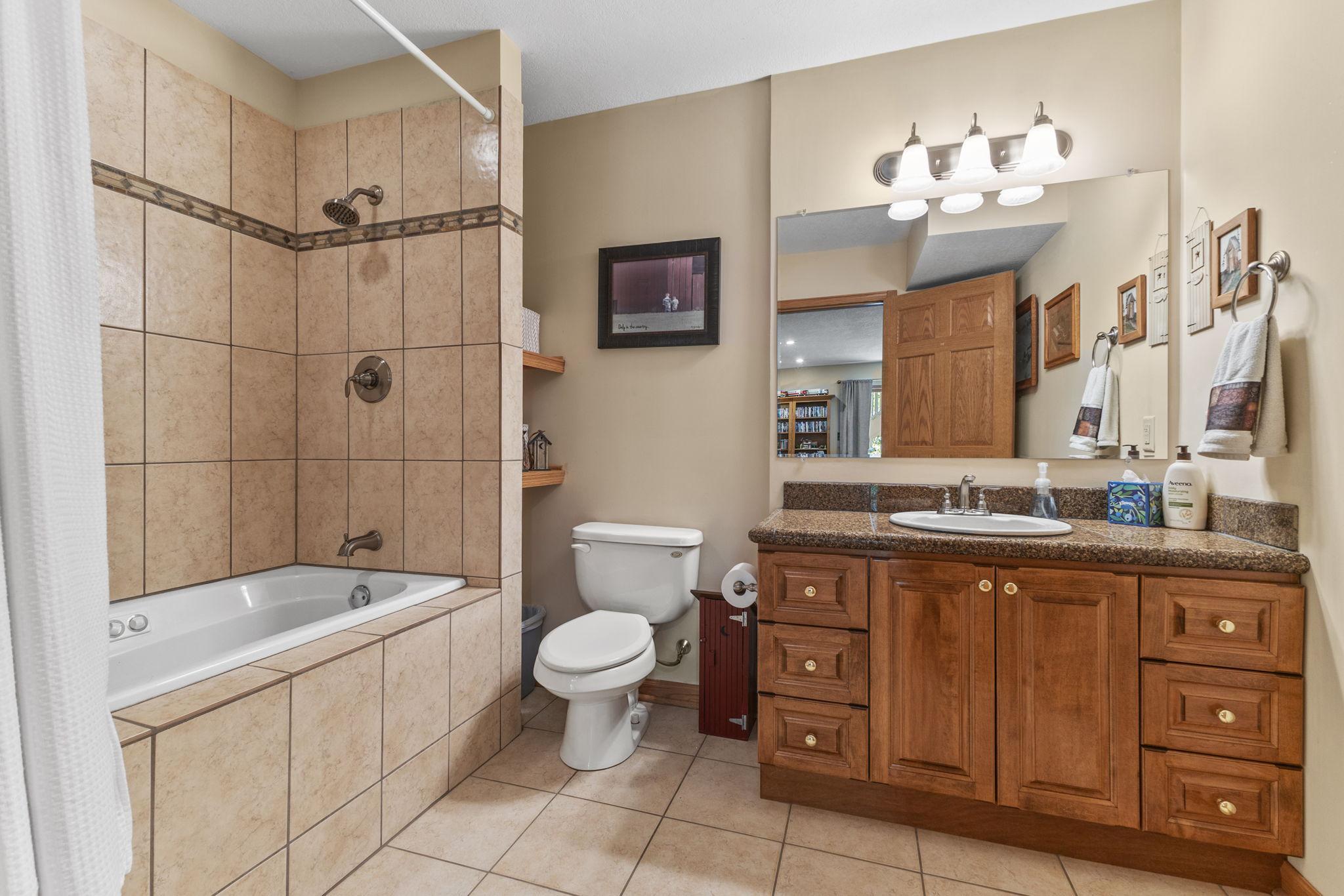 Lower Level Bath