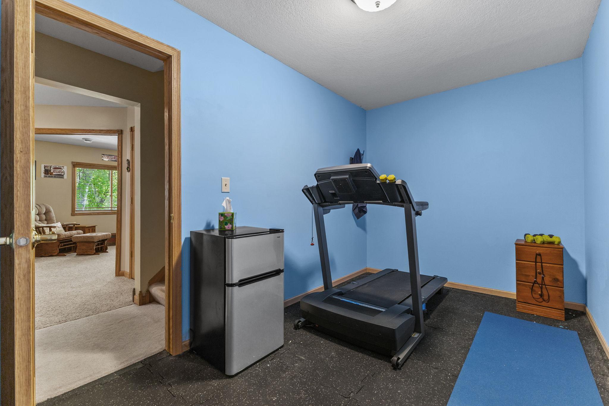 Lower Level Flex Room