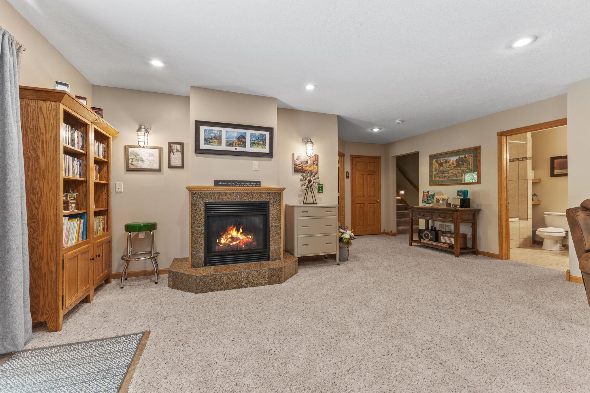 Lower Level Family Room