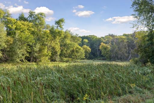 A beautiful view of the property showcasing the rolling hills and natural landscape.